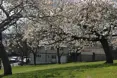 IOTA Care - An outside view of the home